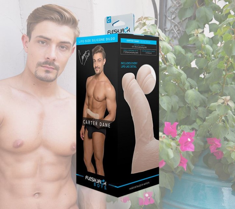 Fleshlight Carter Dane Male Pornstar Replicas | INDIA NDX-740318