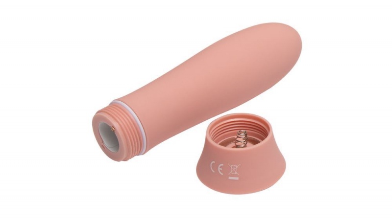 Fleshlight Poppy Bloom Bullet Vibrators | INDIA RGX-064287